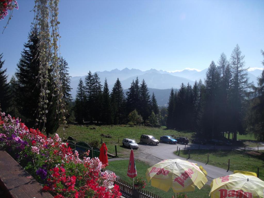 Gasthof Edelbrunn Hotel Ramsau am Dachstein Exterior foto